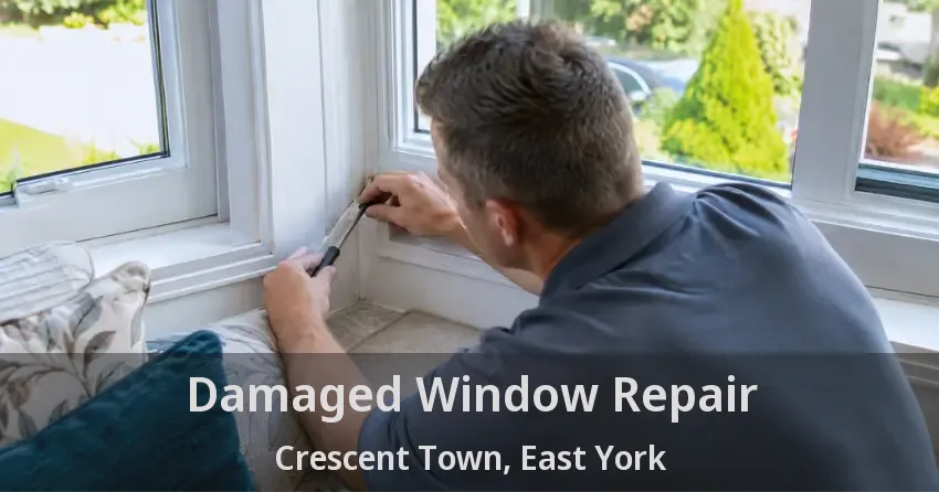 Damaged Window Repair Crescent Town, East York - ON