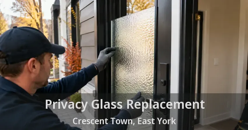 Privacy Glass Replacement Crescent Town, East York - ON